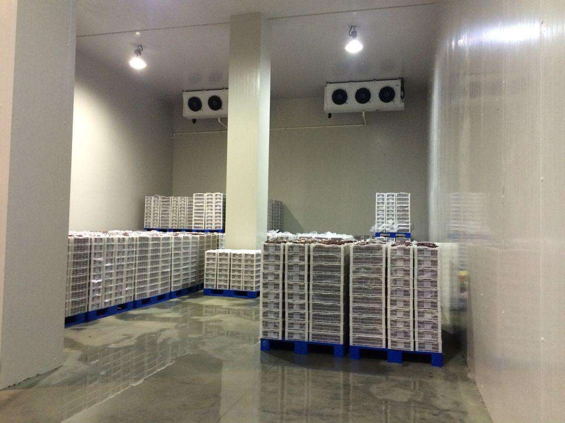 菓蔬氣(qi)調冷庫
